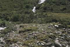 image001