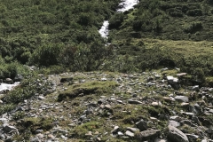image008
